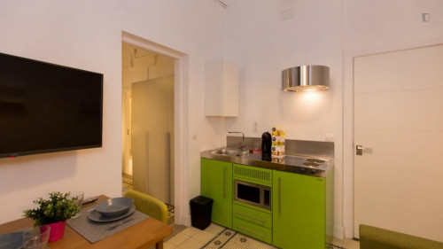 1-bedroom apartment, with outdoor area