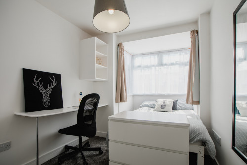 Ventnor Street  - Gallery -  5