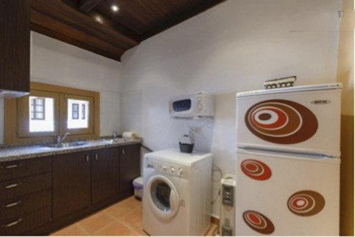 1-Bedroom apartment in Albaicín - Gallery - 5