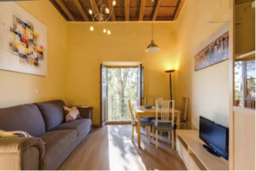 1-Bedroom apartment in Albaicín