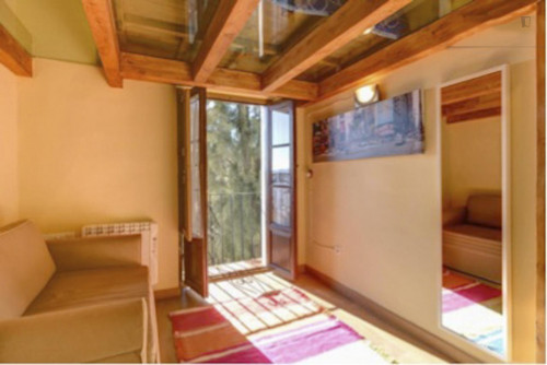 1-Bedroom apartment in Albaicín