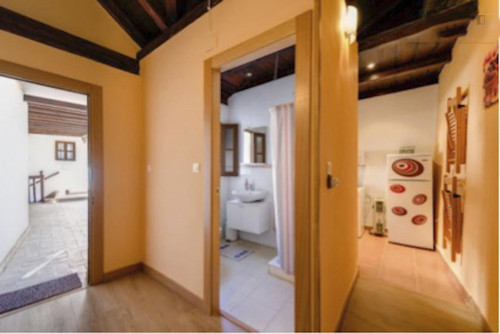 1-Bedroom apartment in Albaicín - Gallery - 8