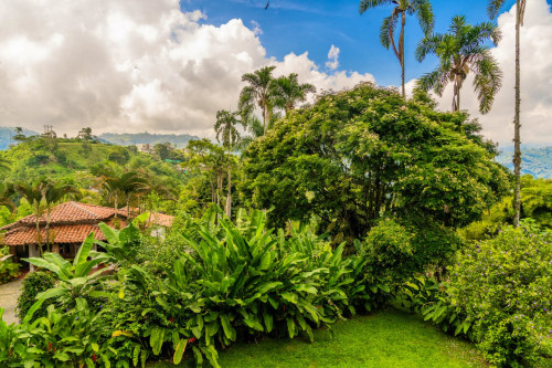 Manizales Home - Gallery - 56