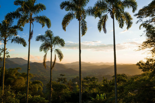 Manizales Home - Gallery - 30
