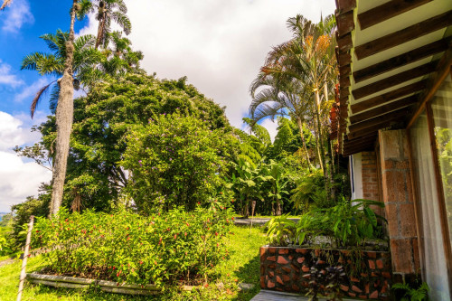 Manizales Home - Gallery - 59
