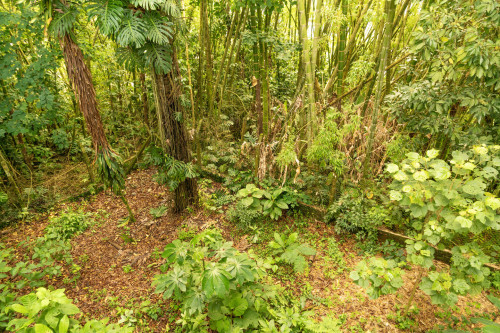 Manizales Home - Gallery - 88