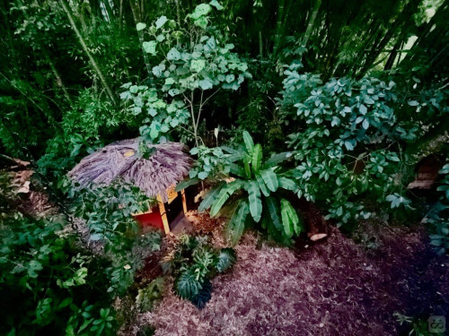 Manizales Home - Gallery - 213