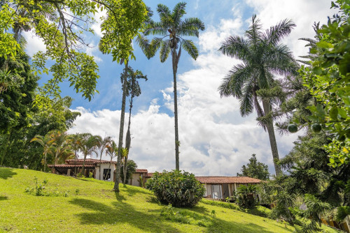 Manizales Home - Gallery - 77