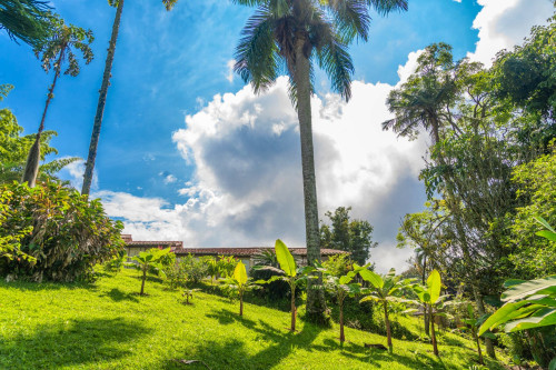 Manizales Home - Gallery - 69
