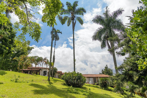 Manizales Home - Gallery - 6