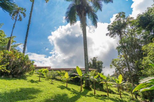 Manizales Home - Gallery - 107