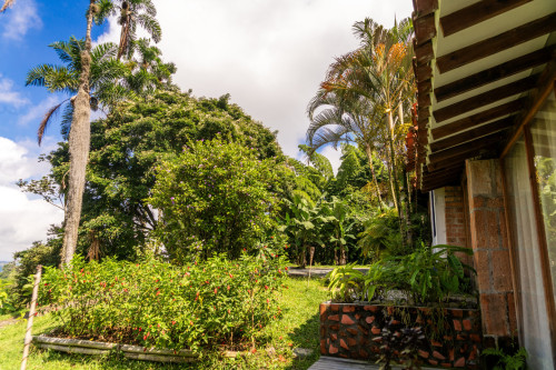 Manizales Home - Gallery - 136