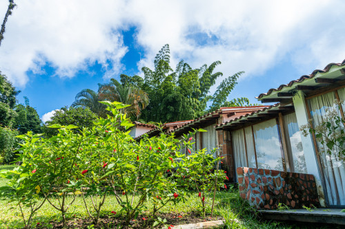Manizales Home - Gallery - 149