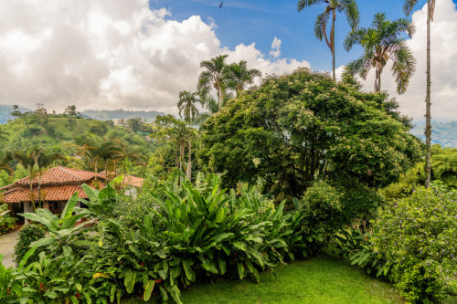 Manizales Home - Gallery - 133