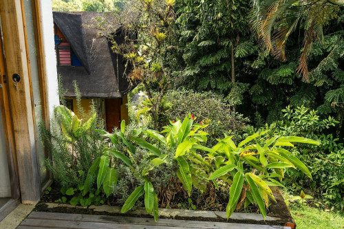 Manizales Home - Gallery - 186