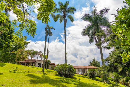 Manizales Home - Gallery - 37