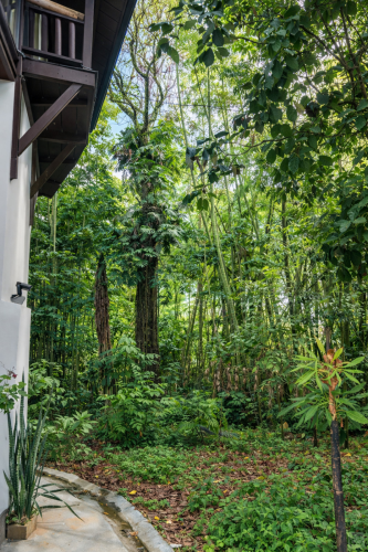 Manizales Home - Gallery - 191