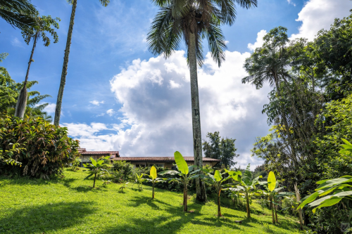 Manizales Home - Gallery - 209