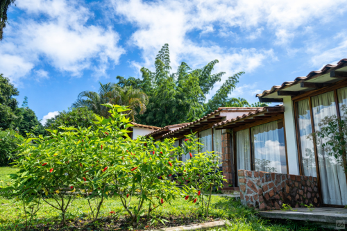 Manizales Home - Gallery - 212