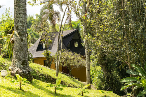 Manizales Home - Gallery - 24