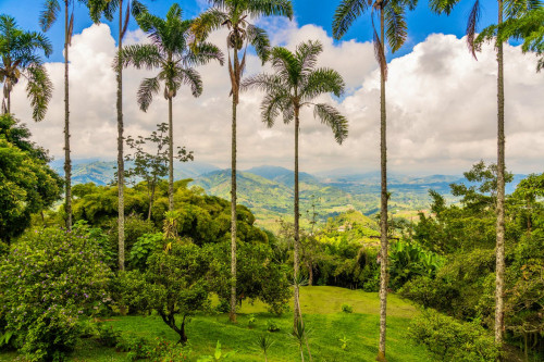 Manizales Home - Gallery - 70