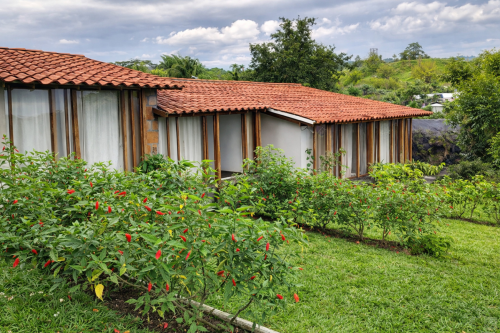 Manizales Home - Gallery - 163