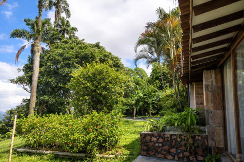 Manizales Home - Gallery - 193