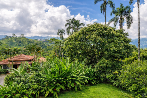 Manizales Home - Gallery - 187
