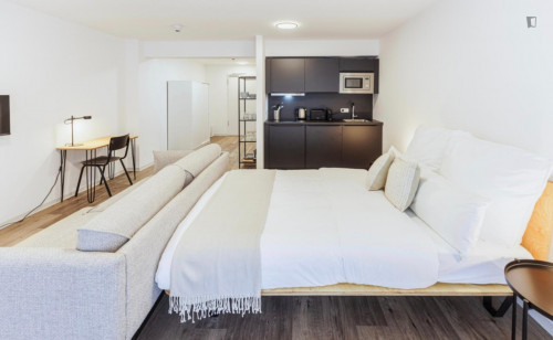 Snug studio not far from Alte Oper