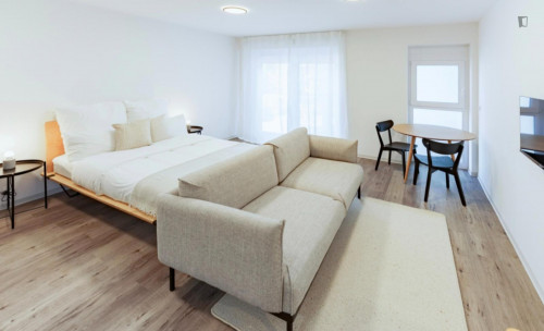 Snug studio not far from Alte Oper
