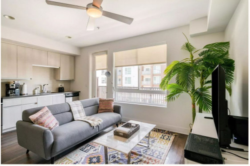 N Central Avenue Apartments - Gallery - 11