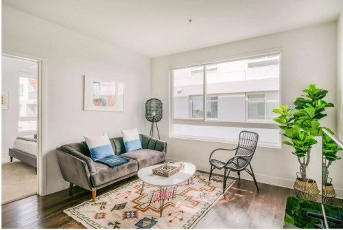N Central Avenue Apartments - Gallery - 12