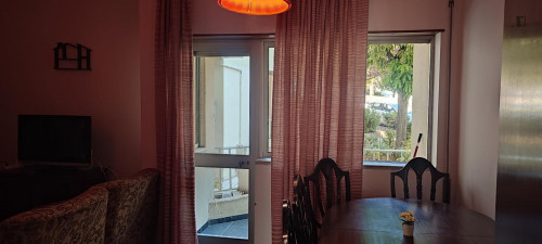 Cozy room in a 4-bedroom apartment  - Gallery -  5