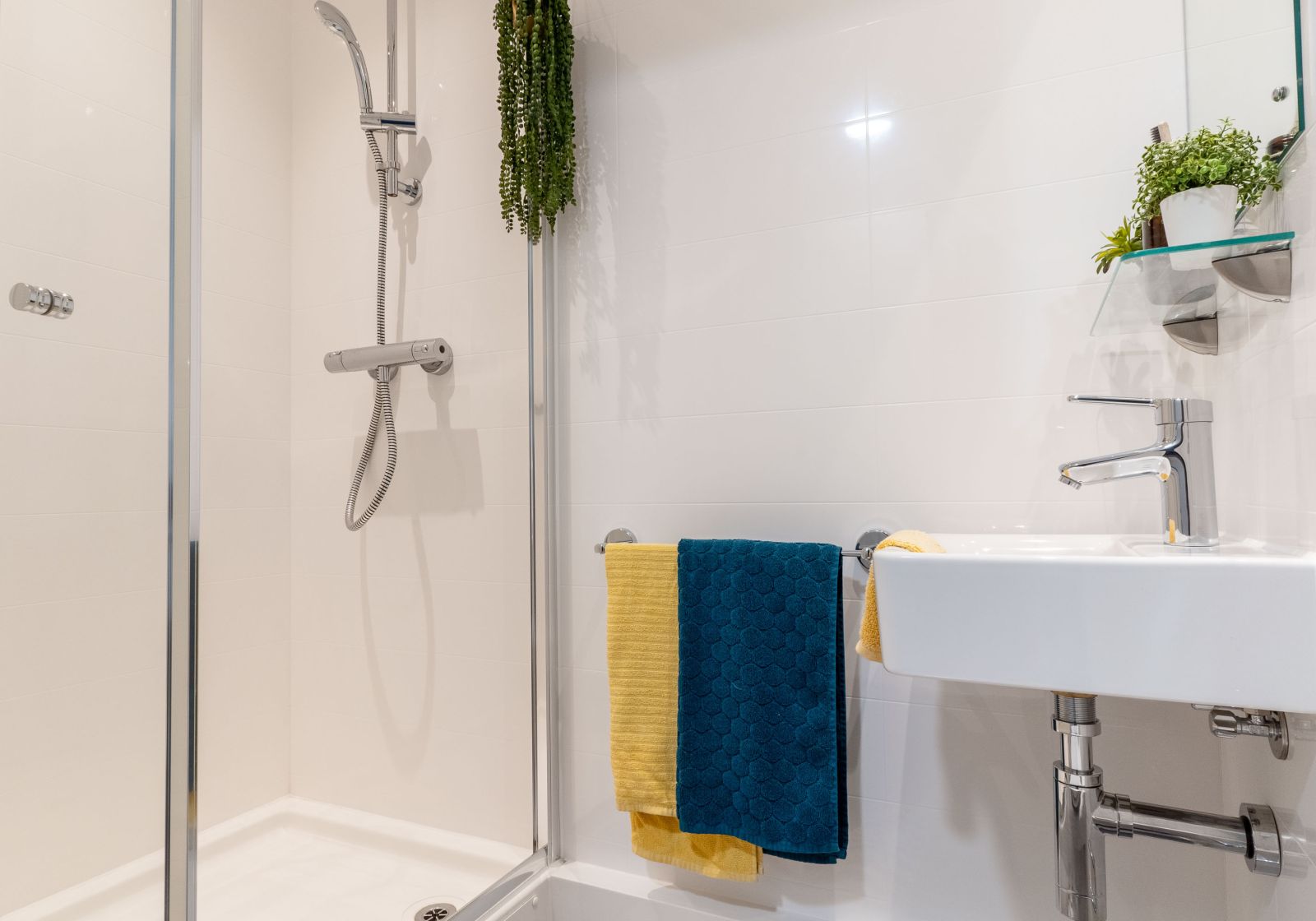  Bronze En-Suite Plus  -  IQ Signal Place  - Gallery -  8