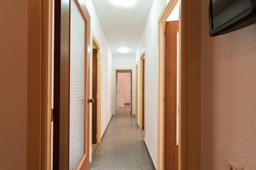 Pleasant double bedroom near Facultats metro station - Gallery - 15