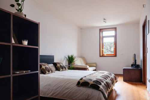 Elegant studio in well-linked Cedofeita
