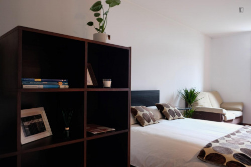 Elegant studio in well-linked Cedofeita