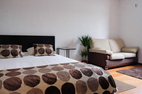 Elegant studio in well-linked Cedofeita