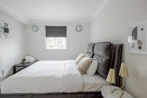 Buckingham Palace Road - Gallery - 24