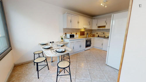 Double bedroom in a 4-bedroom flat, near Parc André Malraux - Gallery - 13