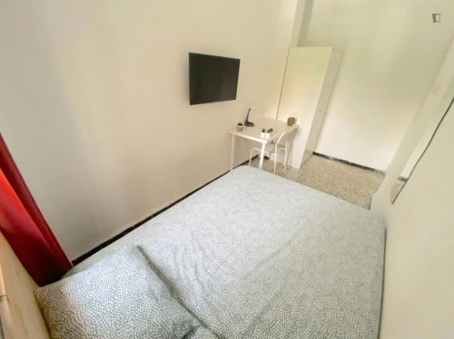 Sunny room near center with double bed, WIFI and TV for students