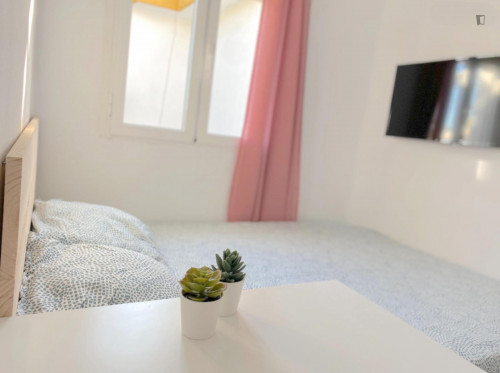 Sunny room near center with double bed, WIFI and TV for students