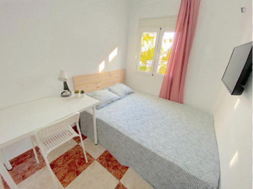 Sunny room near center with double bed, WIFI and TV for students