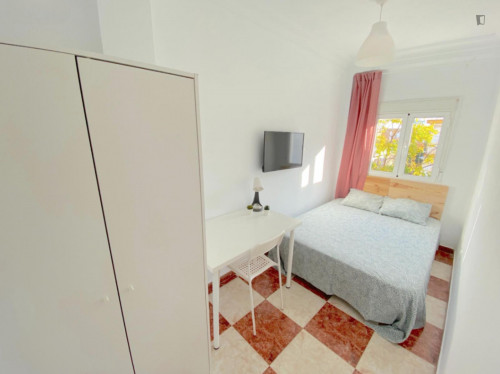 Sunny room near center with double bed, WIFI and TV for students