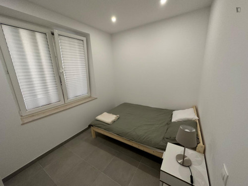 Enchanting 1-bedroom flat in Amoreiras neighbourhood