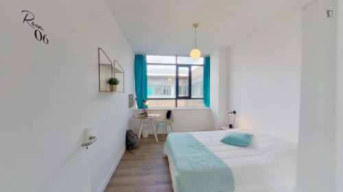 Stylish double bedroom in a 7-bedroom apartment close to Chateau des Tourelles museum