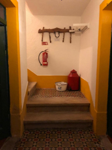 Welcoming apartment in Alentejo