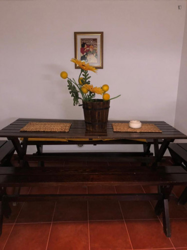 Welcoming apartment in Alentejo - Gallery - 6