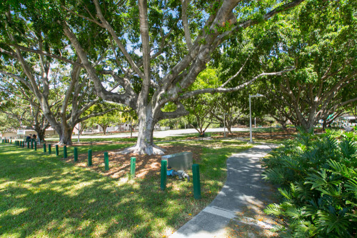 Kelvin Grove - Gallery - 16