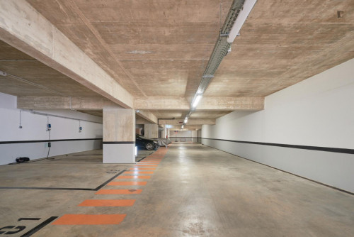 Sunny 1-bedroom apartment near Nova Faculdade de Ciências Médicas